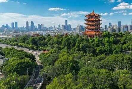 97av麻豆蜜桃一区二区-97 av的多元与界限——关于成人视频的不同分区探讨
