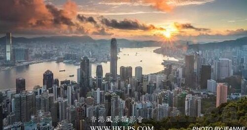 麻豆天美精东蜜传媒-一窥当代网络创作者与观众的交织——以麻豆天美精东蜜传媒为例